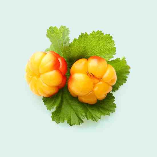 کلودبری Cloudberry