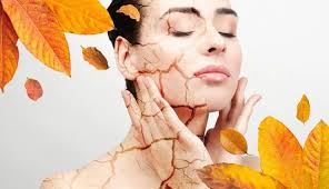 نجات پوست خشک در پاییز: از سرم تا کرم، بهترین انتخاب‌ها برای آبرسانی عمقی